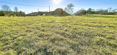 Terrain à Arsague en Landes (40) de 0 m² à vendre au prix de 24500€ - 2