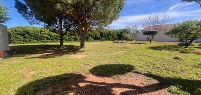 Terrain à Marseillan en Hérault (34) de 1020 m² à vendre au prix de 520000€ - 2