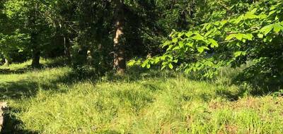 Terrain à Saint-Florent-sur-Auzonnet en Gard (30) de 753 m² à vendre au prix de 47000€ - 1