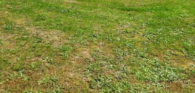 Terrain à Dompierre-sur-Veyle en Ain (01) de 780 m² à vendre au prix de 95000€ - 3