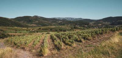 Terrain à Cascastel-des-Corbières en Aude (11) de 148075 m² à vendre au prix de 149000€ - 1