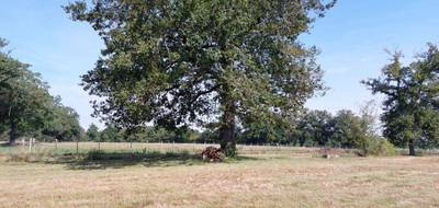 Terrain à Gouzon en Creuse (23) de 26736 m² à vendre au prix de 77000€ - 4