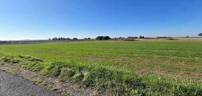 Terrain à Marseillan en Hérault (34) de 11900 m² à vendre au prix de 25000€ - 2