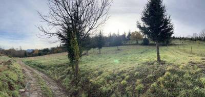Terrain à Olargues en Hérault (34) de 7661 m² à vendre au prix de 18000€ - 2