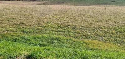 Terrain à Miramont-d'Astarac en Gers (32) de 2498 m² à vendre au prix de 42000€ - 1