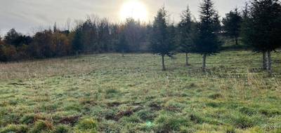 Terrain à Olargues en Hérault (34) de 7661 m² à vendre au prix de 18000€ - 1