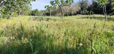 Terrain à Montagnac en Hérault (34) de 4980 m² à vendre au prix de 58000€ - 2