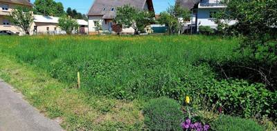 Terrain à Bernolsheim en Bas-Rhin (67) de 642 m² à vendre au prix de 224680€ - 3