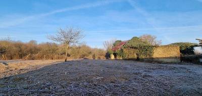 Terrain à Azé en Loir-et-Cher (41) de 7950 m² à vendre au prix de 49800€ - 1