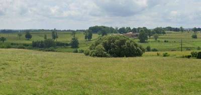 Terrain à Flavignac en Haute-Vienne (87) de 3022 m² à vendre au prix de 28625€ - 2