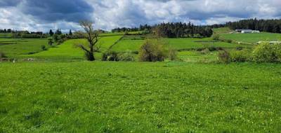 Terrain à Grandrieu en Lozère (48) de 1047 m² à vendre au prix de 29000€ - 1