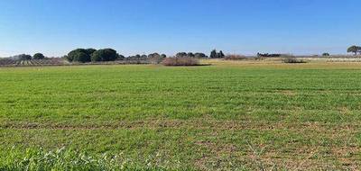 Terrain à Marseillan en Hérault (34) de 11900 m² à vendre au prix de 25000€ - 1