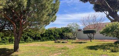 Terrain à Marseillan en Hérault (34) de 1020 m² à vendre au prix de 520000€ - 3