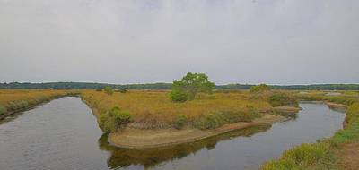 Terrain à L'Île-d'Olonne en Vendée (85) de 3350 m² à vendre au prix de 49900€ - 1