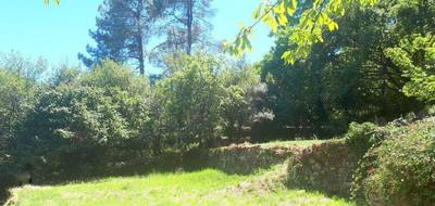 Terrain à Les Vans en Ardèche (07) de 1500 m² à vendre au prix de 70000€ - 1