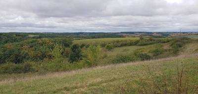 Terrain à Ordan-Larroque en Gers (32) de 2000 m² à vendre au prix de 45000€ - 3