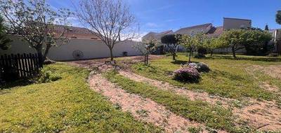 Terrain à Marseillan en Hérault (34) de 1020 m² à vendre au prix de 520000€ - 4