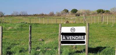 Terrain à Saintes-Maries-de-la-Mer en Bouches-du-Rhône (13) de 450 m² à vendre au prix de 225000€ - 1