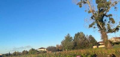 Terrain à Feillens en Ain (01) de 701 m² à vendre au prix de 81810€ - 4