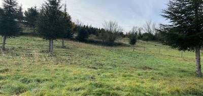 Terrain à Olargues en Hérault (34) de 7661 m² à vendre au prix de 18000€ - 2