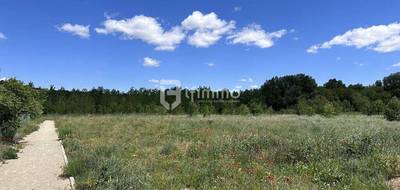 Terrain à Cessenon-sur-Orb en Hérault (34) de 0 m² à vendre au prix de 376000€ - 4