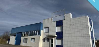 Commerce à Ungersheim en Haut-Rhin (68) de 3280 m² à vendre au prix de 1800000€ - 2