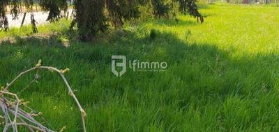 Terrain à Porte du Ried en Haut-Rhin (68) de 0 m² à vendre au prix de 280000€ - 1