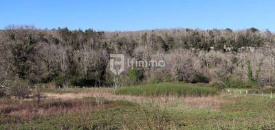 Terrain à Les Eyzies en Dordogne (24) de 0 m² à vendre au prix de 59900€ - 2