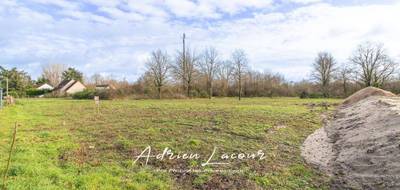 Terrain à Pruniers-en-Sologne en Loir-et-Cher (41) de 1107 m² à vendre au prix de 27990€ - 2