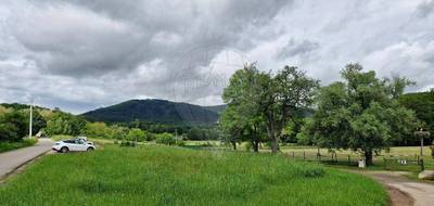 Terrain à Soultz-Haut-Rhin en Haut-Rhin (68) de 1097 m² à vendre au prix de 302500€ - 1