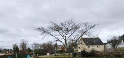 Terrain à Guillac en Morbihan (56) de 872 m² à vendre au prix de 24000€ - 1