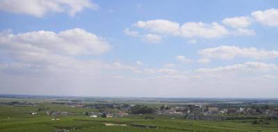 Terrain à Avize en Marne (51) de 542 m² à vendre au prix de 81950€ - 3