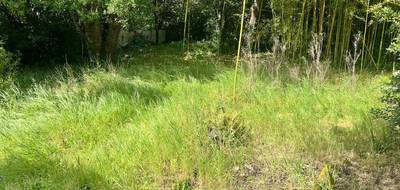 Terrain à Arcachon en Gironde (33) de 800 m² à vendre au prix de 1145500€ - 3