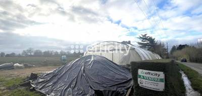 Terrain à Le Cellier en Loire-Atlantique (44) de 50000 m² à vendre au prix de 385000€ - 3