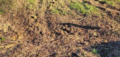 Terrain à Rieux en Morbihan (56) de 1100 m² à vendre au prix de 49000€ - 2