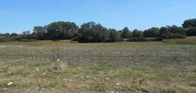 Terrain à Marcilly-sur-Vienne en Indre-et-Loire (37) de 1906 m² à vendre au prix de 18000€ - 3