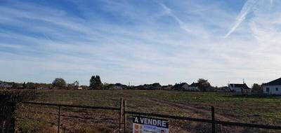Terrain à Chassenard en Allier (03) de 1051 m² à vendre au prix de 17000€ - 1