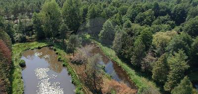 Terrain à Saint-Mars-la-Brière en Sarthe (72) de 6800 m² à vendre au prix de 26900€ - 1