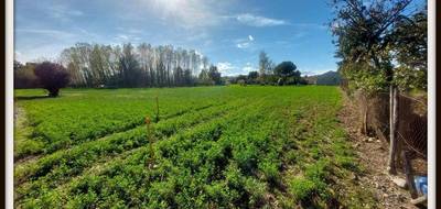 Terrain à Momères en Hautes-Pyrénées (65) de 2165 m² à vendre au prix de 108000€ - 2