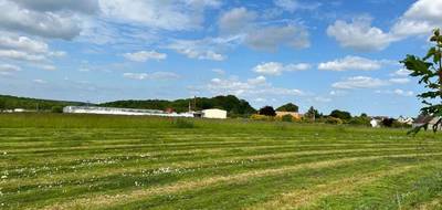 Terrain à Bornel en Oise (60) de 985 m² à vendre au prix de 143000€ - 2