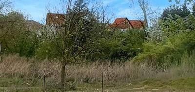 Terrain à Cusset en Allier (03) de 600 m² à vendre au prix de 60500€ - 2