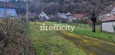 Terrain à Mollkirch en Bas-Rhin (67) de 799 m² à vendre au prix de 201600€ - 2