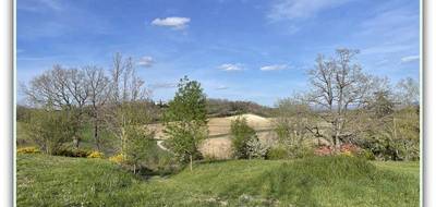 Terrain à Montgey en Tarn (81) de 6102 m² à vendre au prix de 78000€ - 2