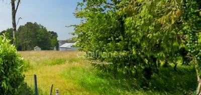 Terrain à Monteneuf en Morbihan (56) de 3420 m² à vendre au prix de 82000€ - 1