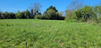 Terrain à Castelnau Montratier-Sainte Alauzie en Lot (46) de 1000 m² à vendre au prix de 25500€ - 3