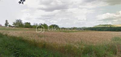 Terrain à Charbuy en Yonne (89) de 1500 m² à vendre au prix de 53800€ - 2