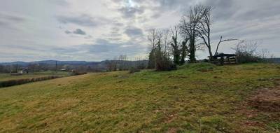 Terrain à Juillac en Corrèze (19) de 3280 m² à vendre au prix de 30000€ - 1