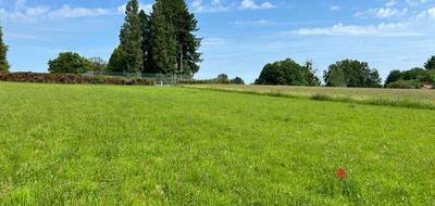 Terrain à Couzeix en Haute-Vienne (87) de 612 m² à vendre au prix de 74400€ - 3
