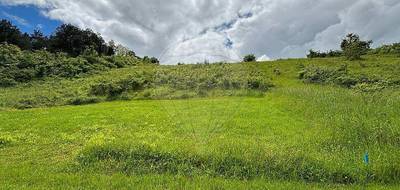 Terrain à Quenne en Yonne (89) de 4097 m² à vendre au prix de 19000€ - 1