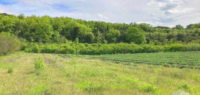 Terrain à Saint-Montan en Ardèche (07) de 1900 m² à vendre au prix de 74500€ - 4